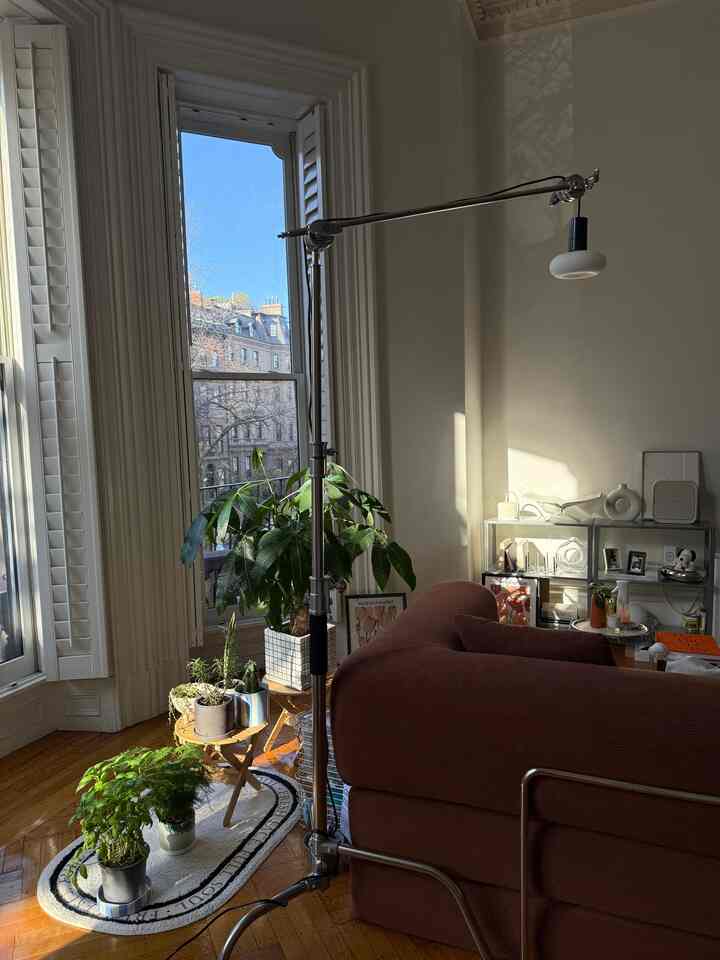 The spring sunset hits differently. My indoor garden is also growing! #indoorgarden #plants #lightingstand #spring