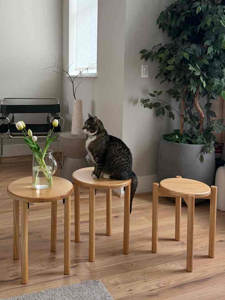 Natural wood tone living space featuring round side tables with a cat sitting on one and large leafy plant creating a cozy atmosphere