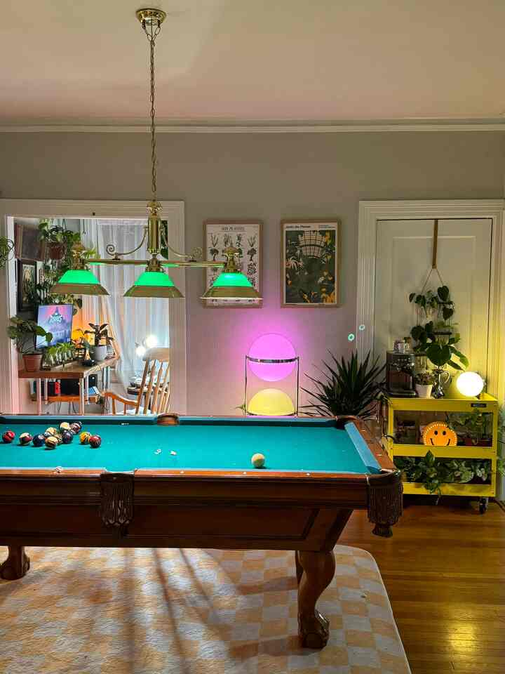 Cant beat this view 😍🔥 #billiardroom #plantdecor