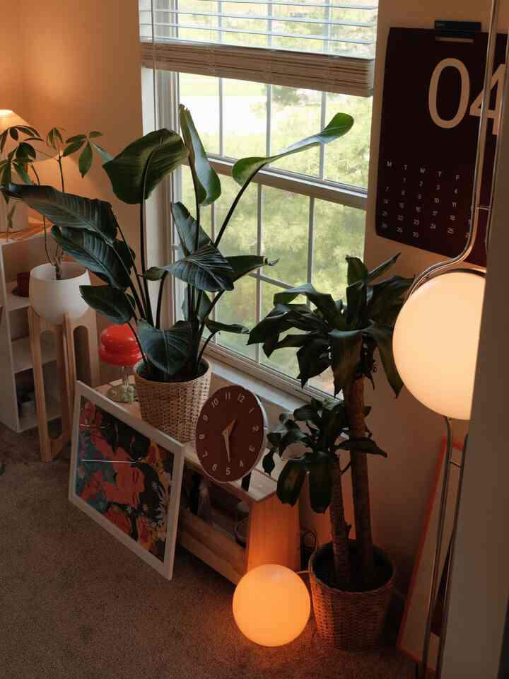 I cannot get over this beautiful work of art 🤩

#artwork #art #diningroom #warmvibes