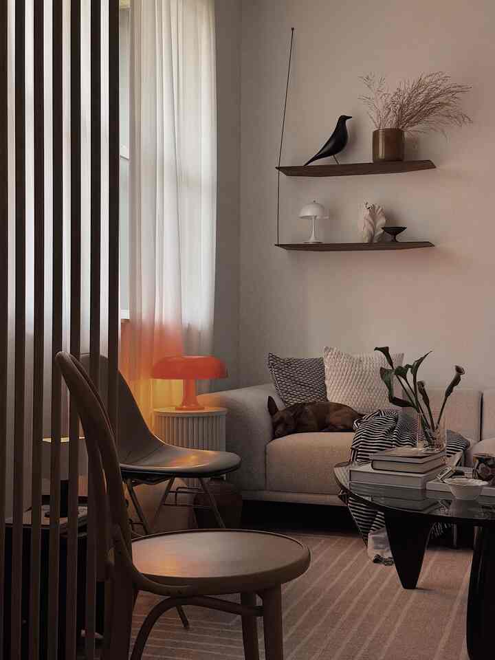 Natural toned living room featuring a cozy sofa, warm table lamp, and a dog resting comfortably