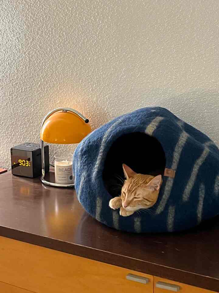 Modern interior featuring a blue pet house with gray stripes and an orange cat resting inside on a wooden cabinet