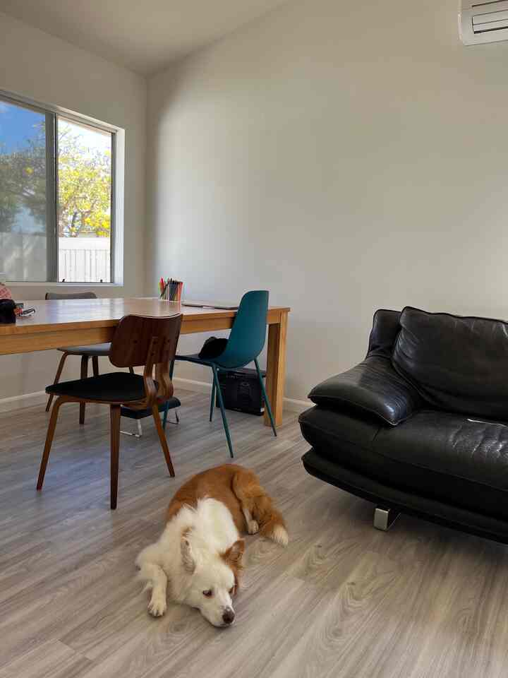 Bright white-toned living and dining room featuring a wooden dining table, diverse chairs, and a dog lying on the floor, creating a cozy atmosphere