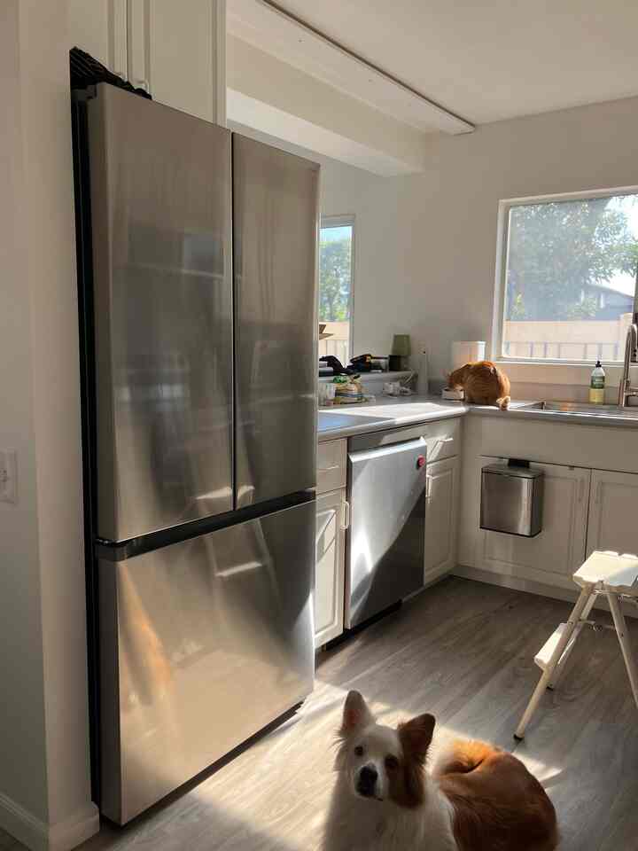 Kitchen appliances are definitely part of the interior! 😍 Loving our new stainless steel fridge and dishwasher — they’re so sleek and elevate the whole space. ✨ #kitcheninspo #stainlesssteelappliances #sleekdesign #kitchengoals #modernkitchen #applianceinspo #interiorinspo #kitchendecor #homeaesthetic #appliancelove #homedetails #kitchenvibes #stylishkitchen #interiorstyling #cozyhome