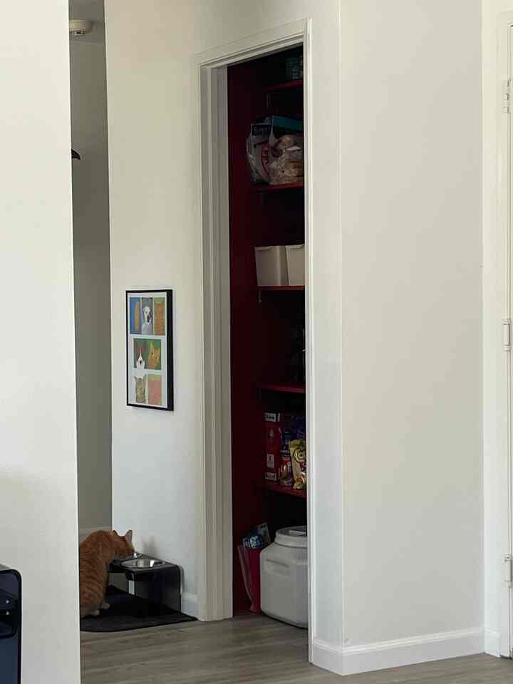 Suka banget sama tempat makan kecil ini buat hewan peliharaanku! 🐾✨ Sederhana, lucu, dan sangat cocok dengan ruangan kami. #petcorner #petdining #cozyhome #petsetup #homedetails #petfriendlyhome #interiorinspo #petdecor #homevibes #stylishpets