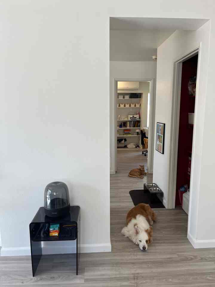 You can find acrylic in every space in our home! ✨ It’s sleek, chic, and so easy to maintain — definitely a design staple around here. #acrylicfurniture #modernhome #interiorinspo #homevibes #sleekdesign #cozyhome #minimaliststyle #homedetails #easycare #designstaple