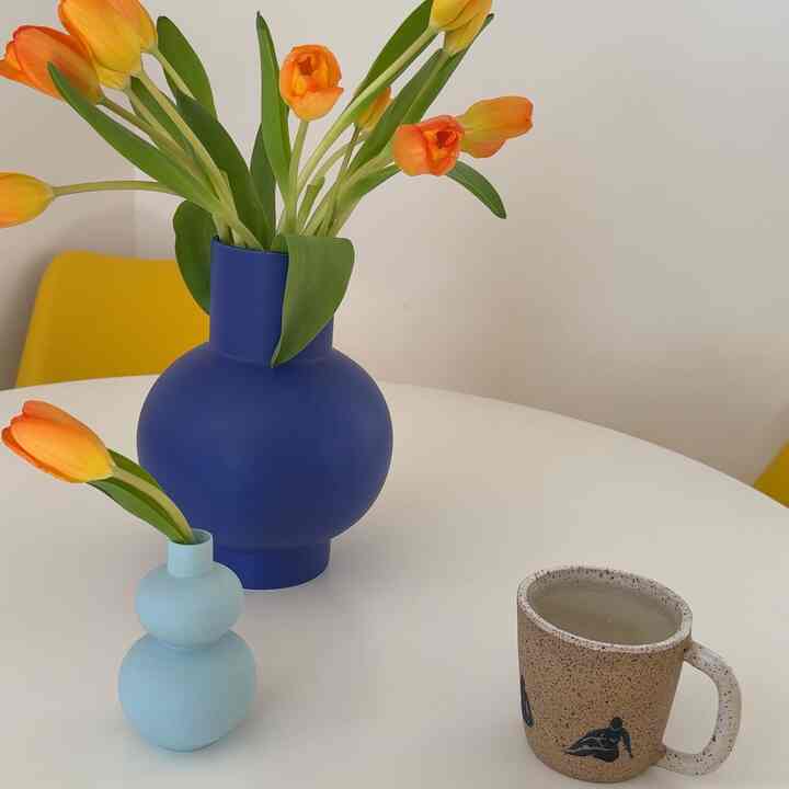 Morning first thing for me is warm water with lime 🍋‍🟩
#tulips #spring #moderneclectic #morningrituals
