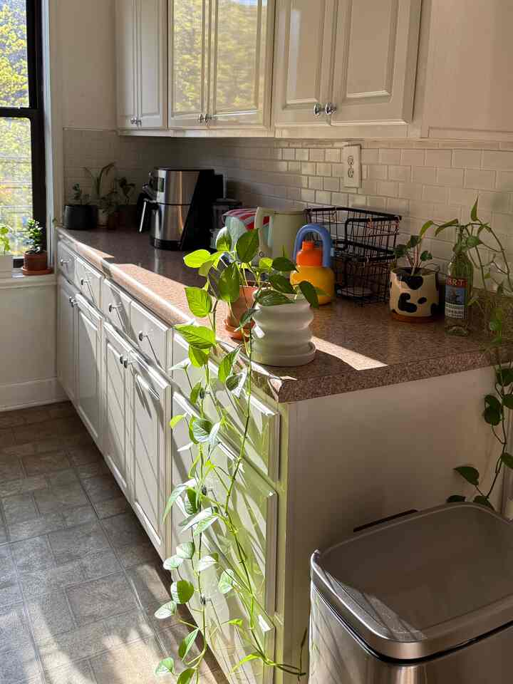 Sunbath for my babies 🪴☀️
#moderneclectic #kitchencounter #plantinterior #plants #sunlight