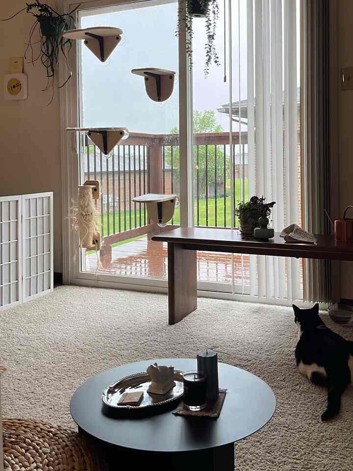 White carpeted living room with brown table, featuring a cat and veranda window, creating a cozy atmosphere
