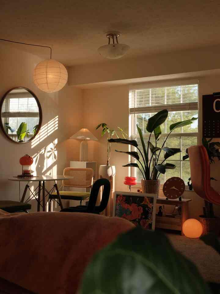 Views on views ☺️

#diningroom #diningchair #warmhome #warmtoneinterior 