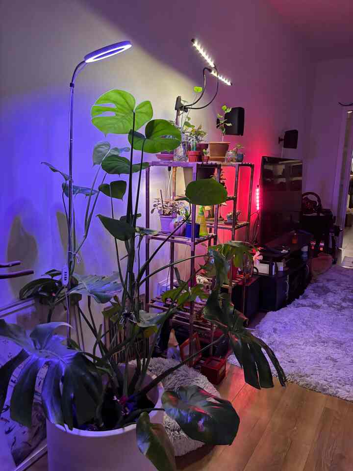 
Suasana malam hari.
Menurut saya ruangan akan terlihat lebih bagus jika meja TV, rak tanaman, dan sofa berwarna putih atau terang.

Sangat bersemangat untuk mengubah suasana, dan membantu cahaya dan warna memantul lebih baik.

#apartmentinterior #lights #plants #biophilichome #modern