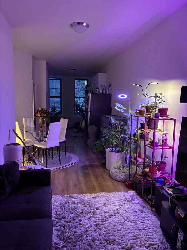 Natural style living room with purple ambient lighting, featuring sofa, dining table, and plants arranged harmoniously in cozy atmosphere