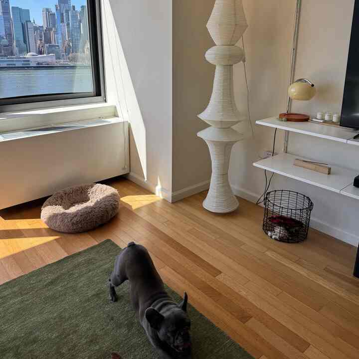 Bright white and wood tone living room featuring a dog pet bed and tall floor lamp with a cozy atmosphere