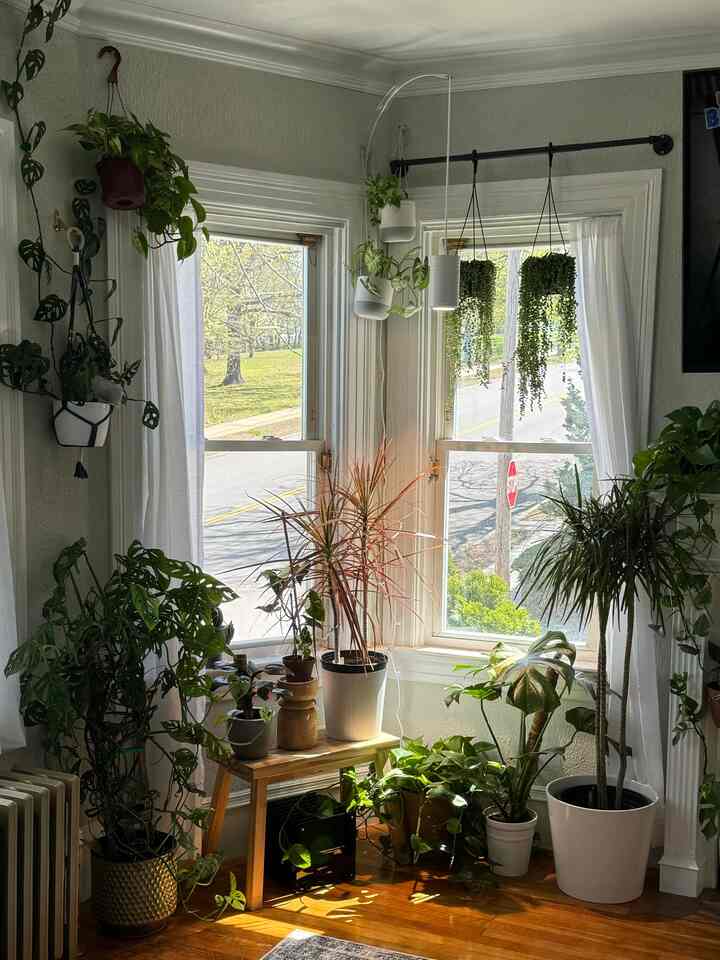 Just another view of my favorite corner 😍💚

#interior #interiordesign #plantdesign #ohouse #plantcorner #junglehome