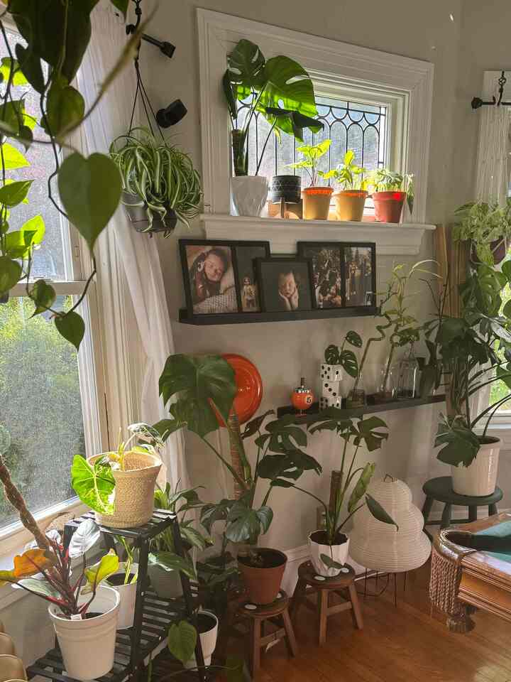 Spring time has been so beautiful in my house 😍🌸

#interiordesign #interior #plantdesign #plants #ohouse