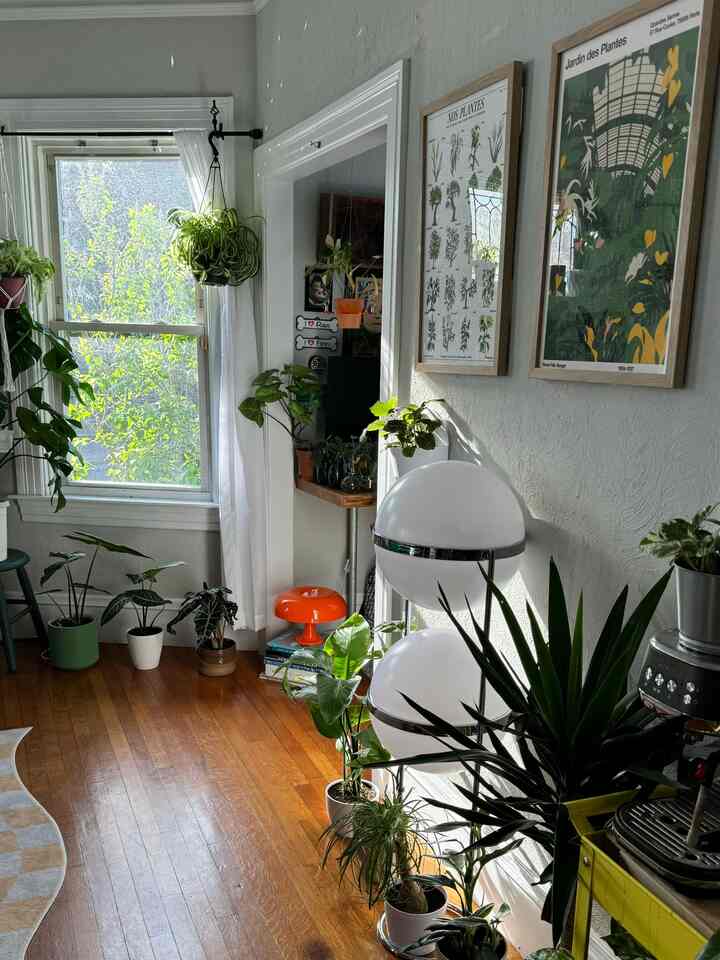 Dinding samping ruang biliar akhirnya tampak lengkap! 

#desaininterior #interior #plantdesign #ohouse #plants #junglehome #biophilicdesign