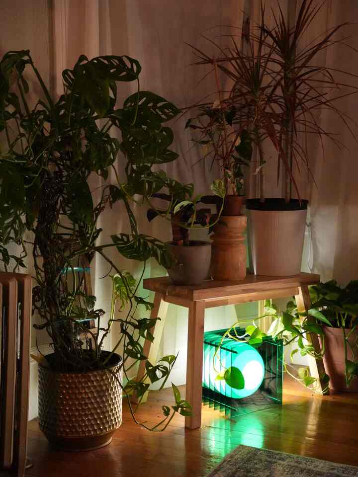 This photo is a whole vibe in itself 💚💡 i love the Lop Small Square Lamp

#interiorposter #interiordesign #plant #PlantDeco #ohouse