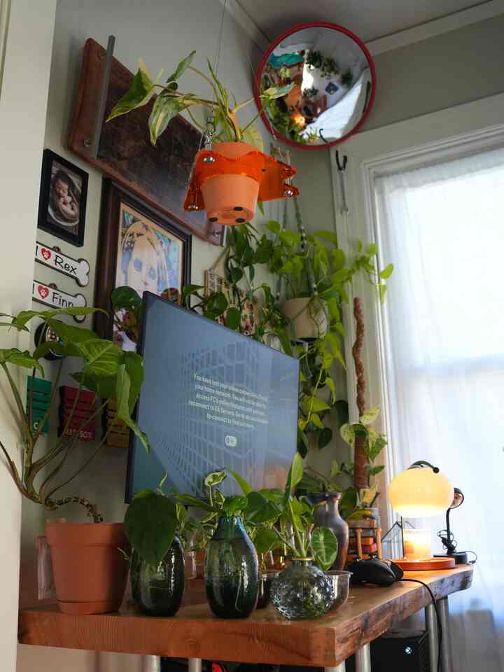 My jungle office is looking great 🪴 do you like this set up?

#interior #interiorobject #plants #plantdesign #ohouse