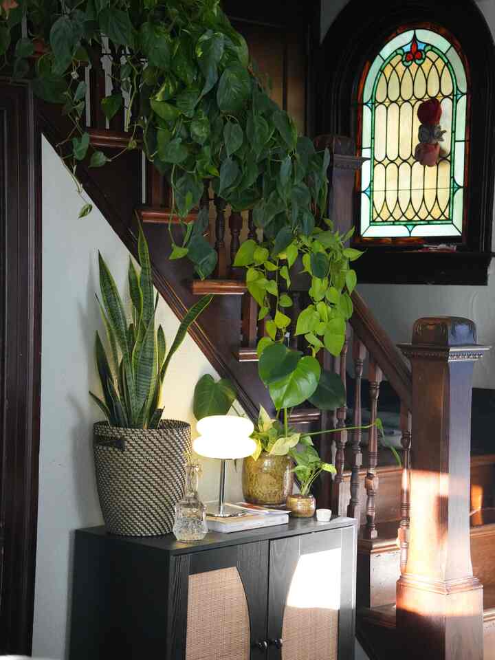 Grand entrance to say the least 😍🪴

#entryway #foyer #staircase #plantdesign #junglehome