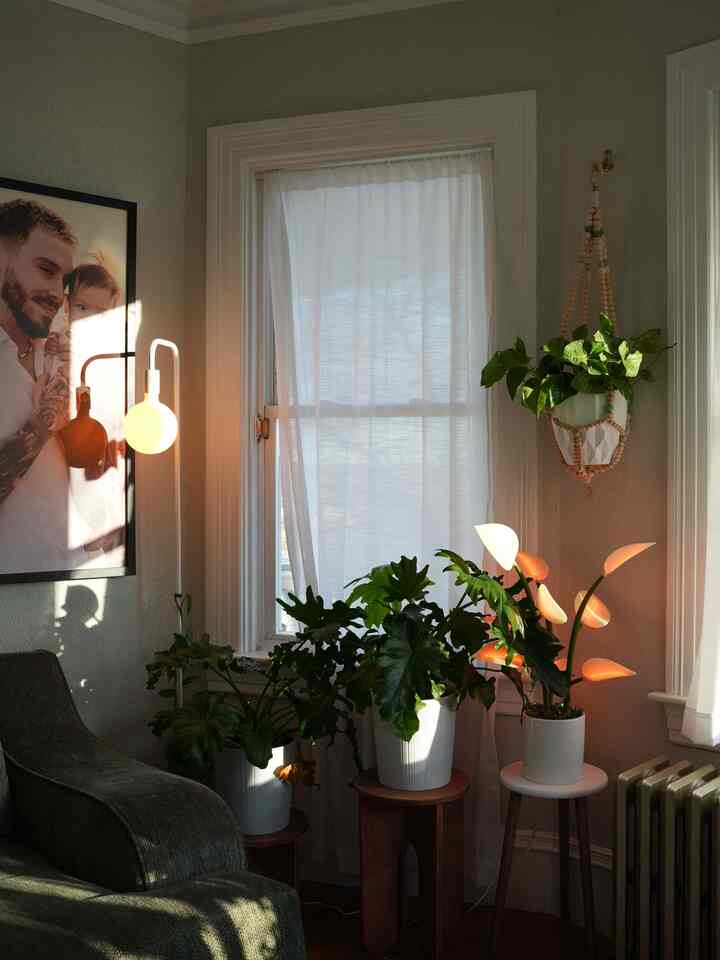 The sun hitting this corner of the living room is perfect 😍

#interior #interiordesign #plantdesign #plants #ohouse