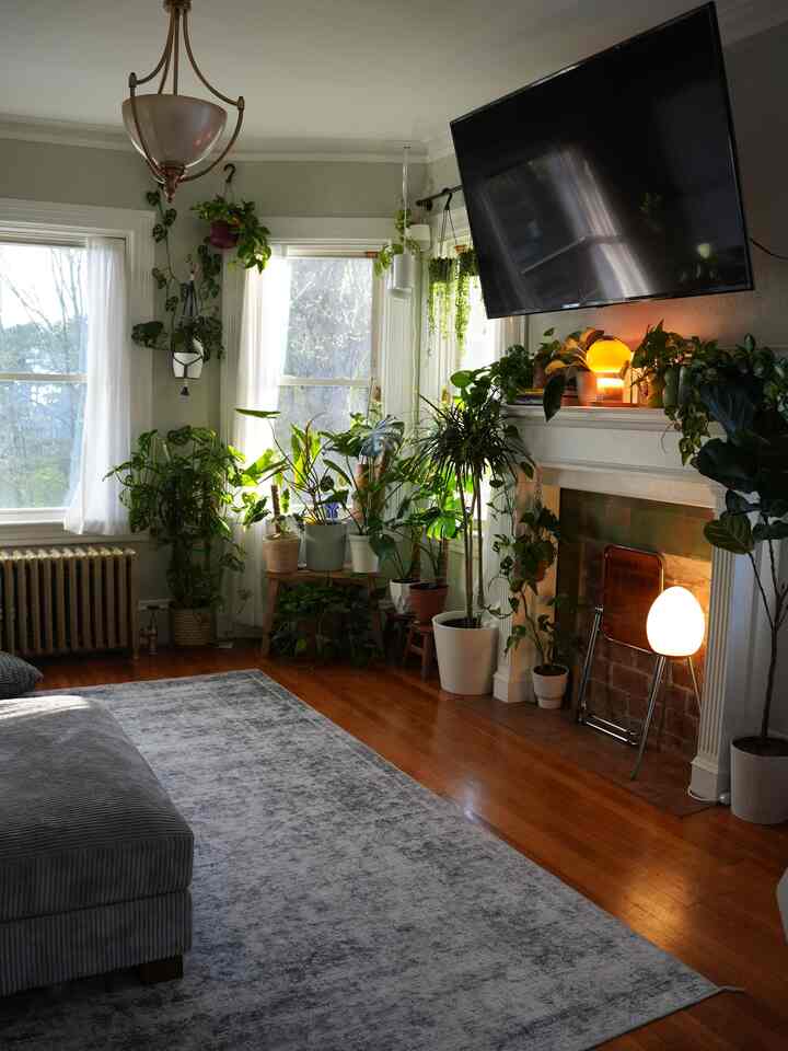 Living room on a sunny day is a great thing 😍

#interior #interiordesign #plantdesign #plants #ohouse