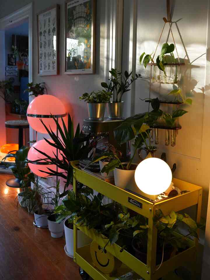 When the sun hits the coffee station 😍 i get so happy!

#interior #interiordesign #plants #plantdesign #ohouse