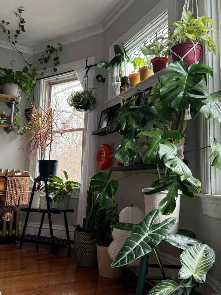 Cloudy out, vibey inside 🔥

#interior #interiordesign #plants #plantdesign #ohouse
