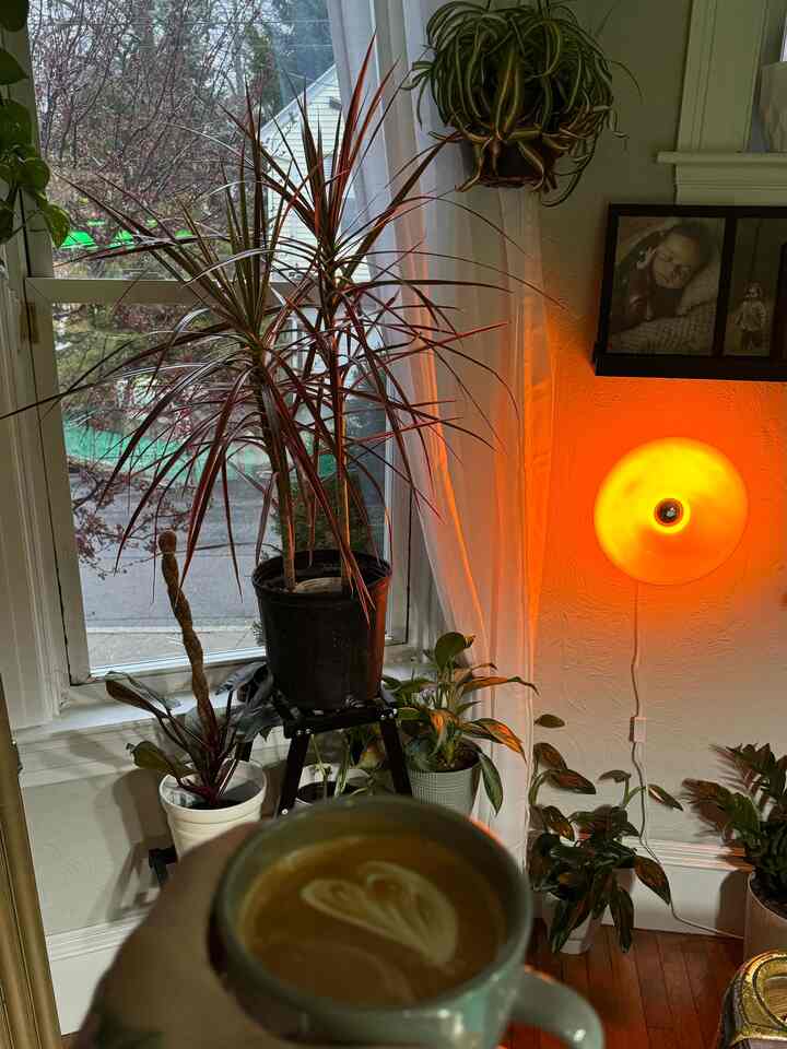 Cloudy day with a cup of coffee in hand 💚

#interior #interiordesign #plants #plantdesign #ohouse