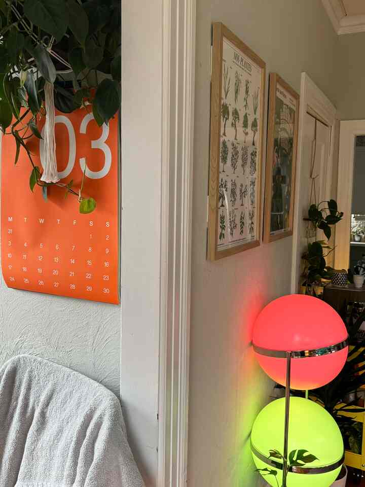 Love this corner from my office to the billiard room 💚

#interior #interiordesign #plants #plantdesign #ohouse