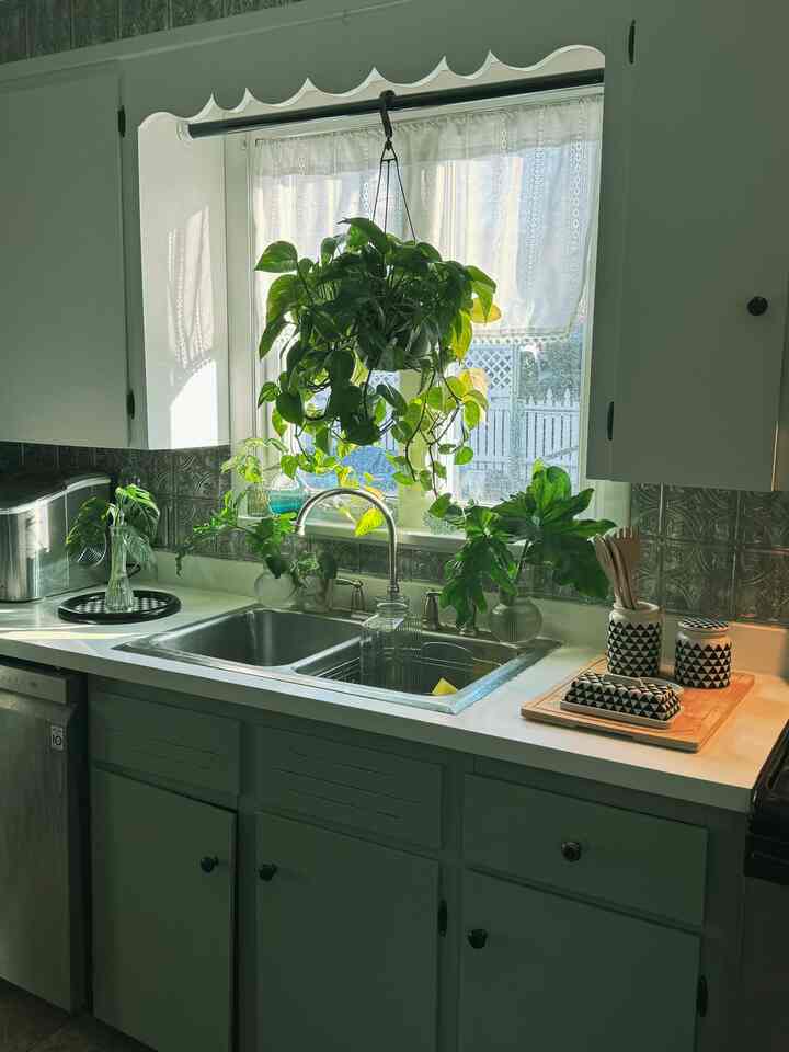 Makes doing dishes slightly better 😍🔥

#interior #interiordesign #plants #plantdesign #ohouse