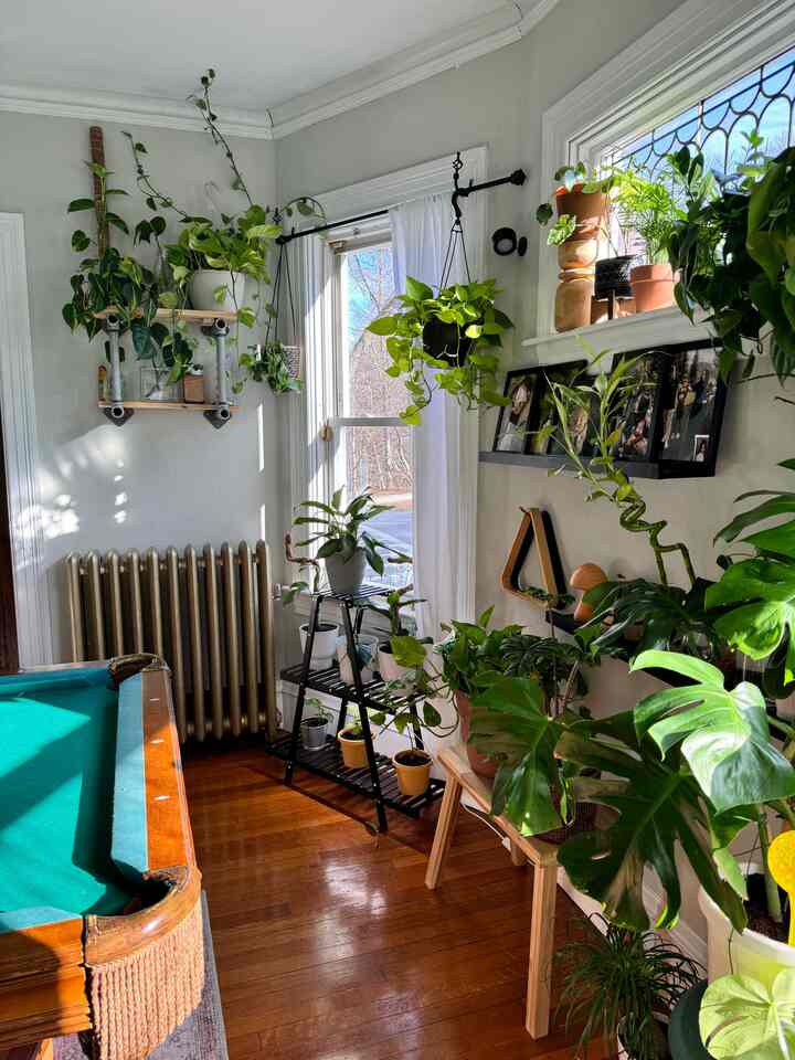 This angle is great, it really showcases the back wall of the billiard room 😍

#interior #interiordesign #plantdesign #plants #ohouse