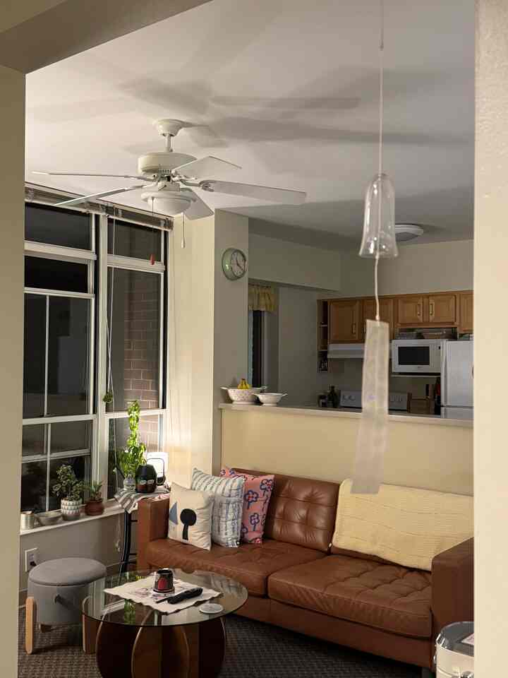 Natural-toned living room with white walls and brown leather sofa, featuring a glass coffee table and plants for a cozy atmosphere