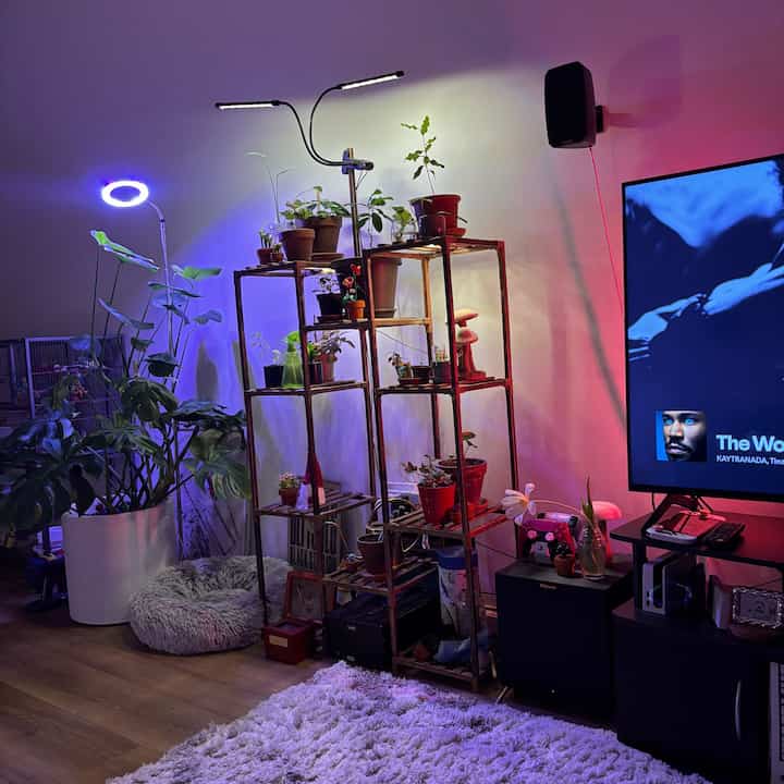 Brown wood tones and black electronics blend in this living room featuring a multi-tier plant stand and LED grow lights in a game room setting