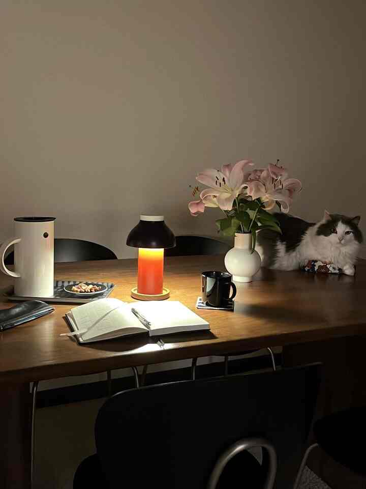Warm brown-tone dining room featuring a table lamp and vase at center, with a cat resting on the right side, creating a cozy atmosphere