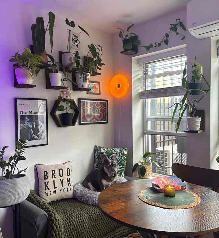 A cozy small living room in natural tones with numerous wall shelves holding plants, and a dog sitting on the sofa