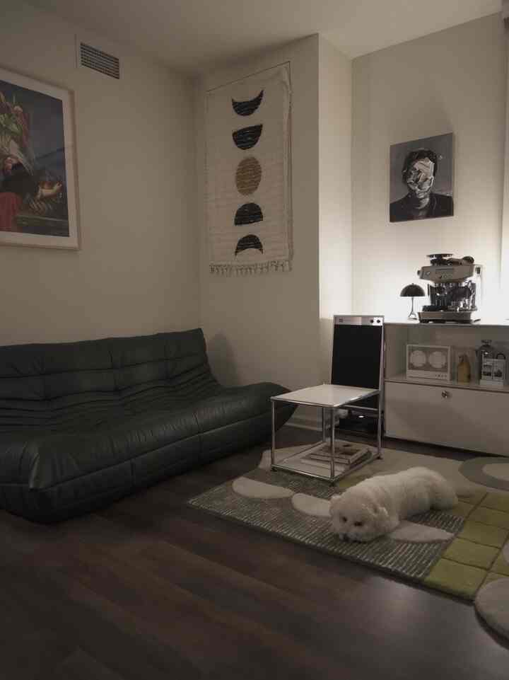 Dark-toned living room with deep green sofa and white side table center, colorful rug on floor with a white dog lying down