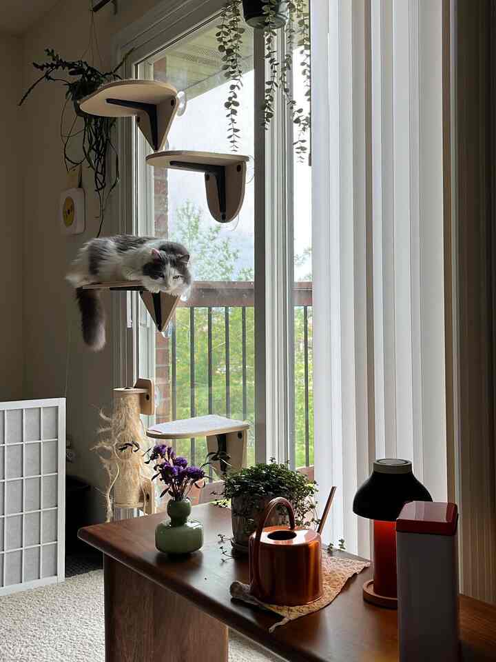 Natural beige and white toned living room featuring a cat tower by the window and plants with a wooden table, creating a cozy atmosphere