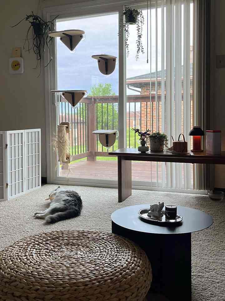 Beige and white toned living room featuring a cat lying on the floor and cat towers mounted on the window, creating a natural, cozy atmosphere