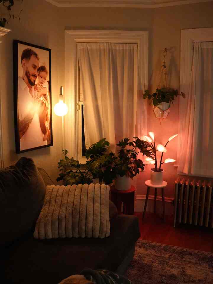 Plants will always be an inexpesnive way to fill up a space 🪴why you ask? Because you can propagate! 1 plant turns into 10!

#plants #interiordesign #plantdesign #ohouse #interior