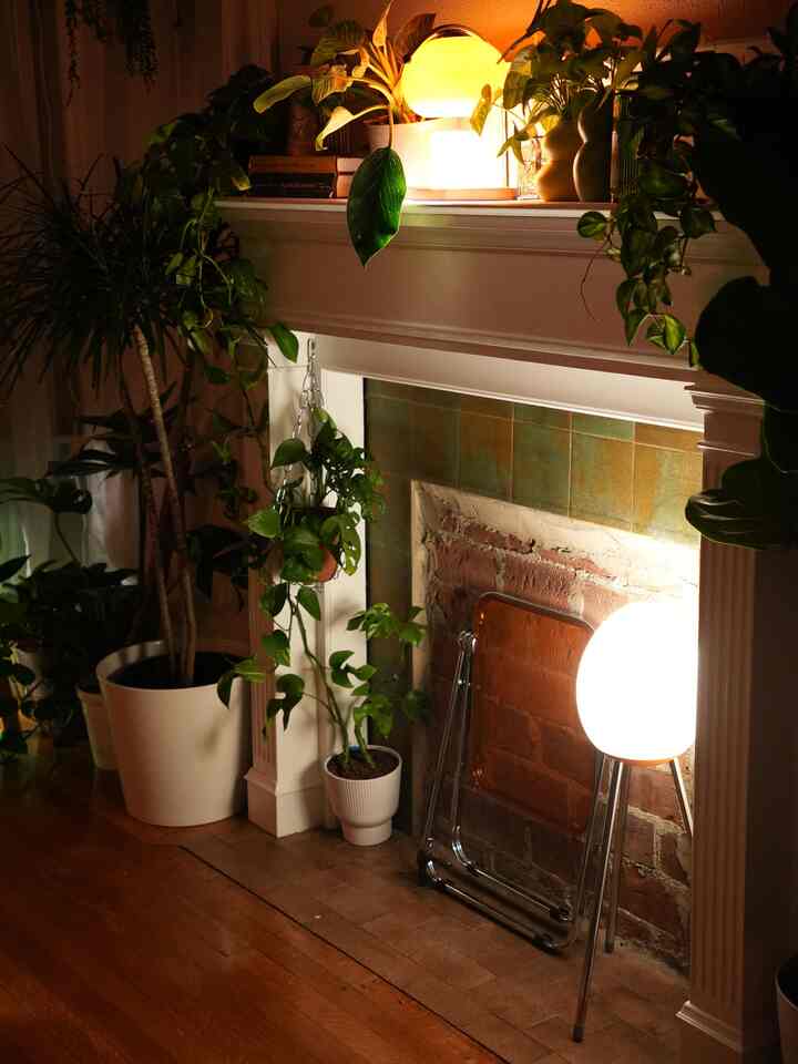 Plant maximalism = a inexpensive way to fill up/decorate a space 🪴

#plantlife #junglehome #interiordesign #plantdesign #plants