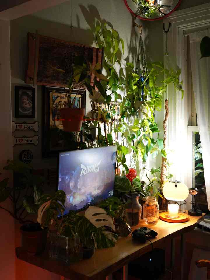 Home office 😍 i love this space. And by propagating plants, I was able to fill it for free!

#interior #plantdesign #chic #chichome #plants