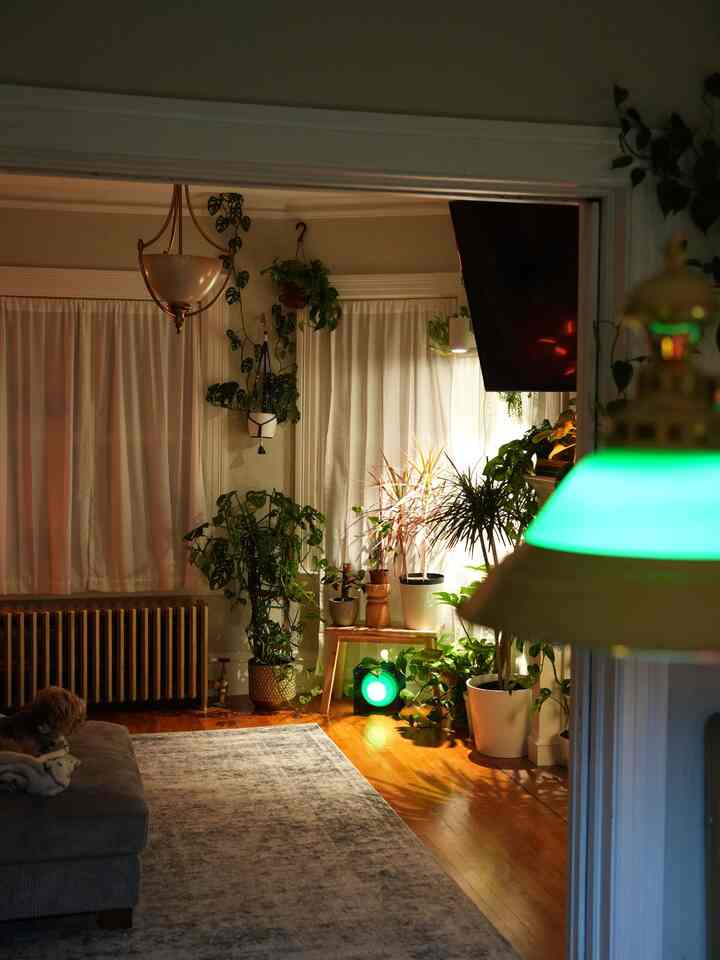 Took my favorite lamp (small Lop Square Lamp), and surrounded it with plants! Most of these plants were from propagations - so this was an easy and cheap way to elevate the space!

#chic #chichome #ohouse #interiordesign #plants