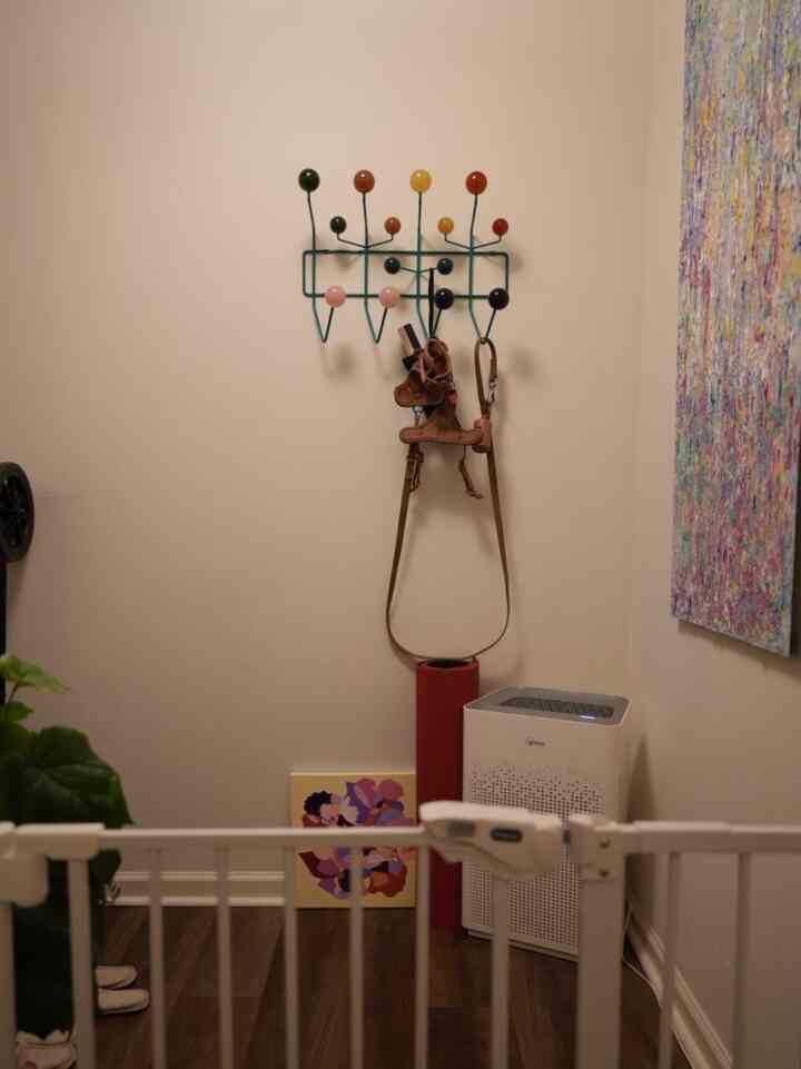 White walls and wood-tone flooring feature a colorful hook rack in an entrance area with a safety gate, creating a tidy atmosphere