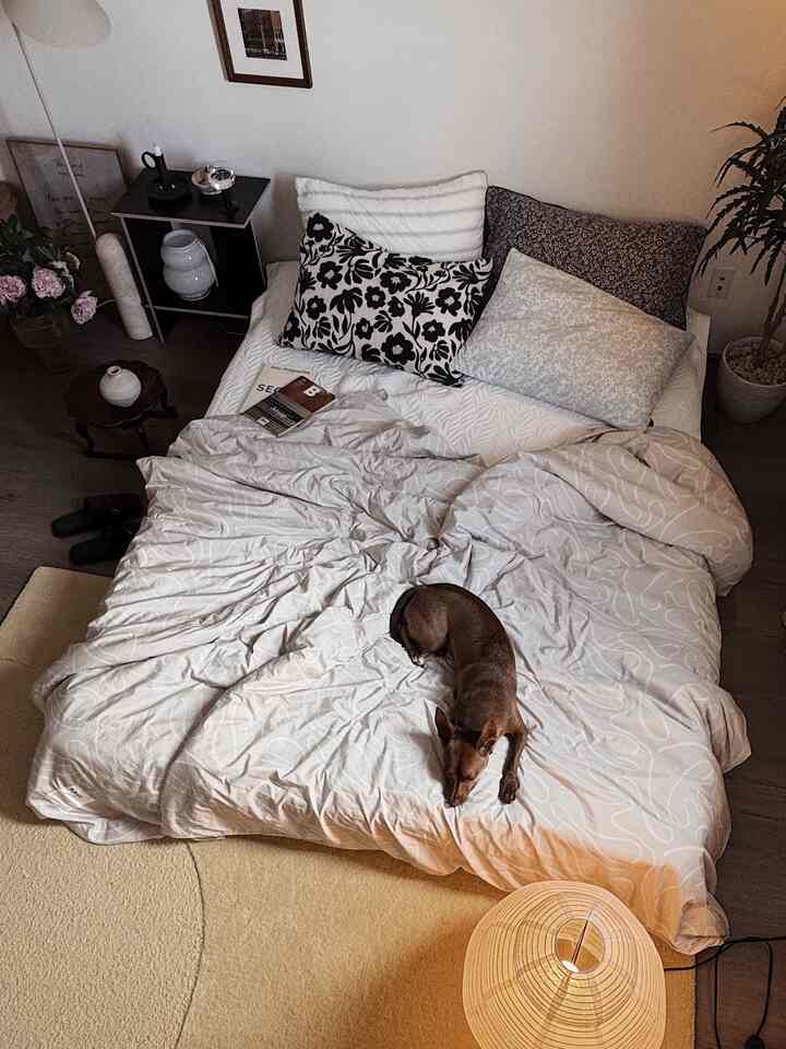 Natural-toned bedroom in beige and white, featuring patterned cushions and bedding with a pet dog resting on the bed, cozy atmosphere