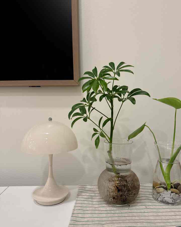 A simple, natural interior setting featuring a white table with a table lamp, clear glass vases, and green plants against a white wall