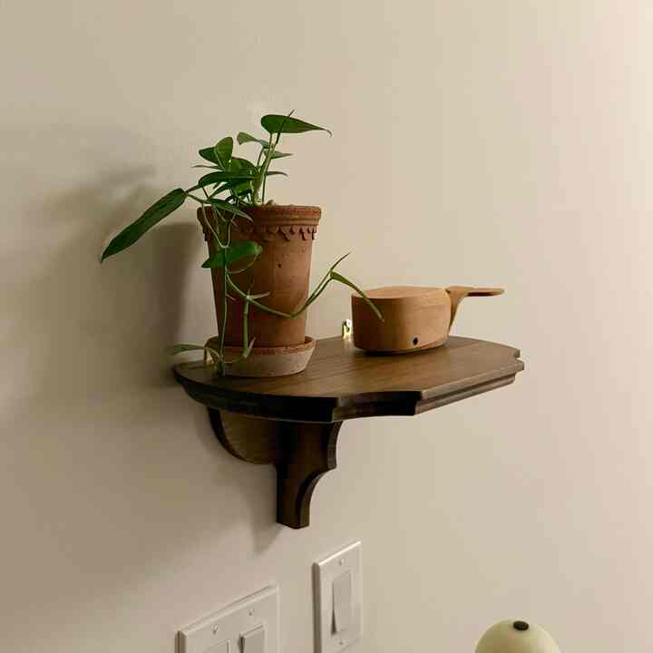 Pops of green around the house. My new plants have been thriving and this brings me so much joy!

#Planterrier #plants #colorofspring #shelf #woodshelf #storagebox #storage #planter 