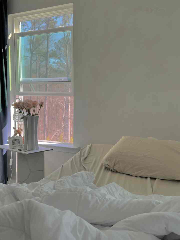 🤍Power of Flower🩷
#flower #pink #cozy #moderninterior #unique 