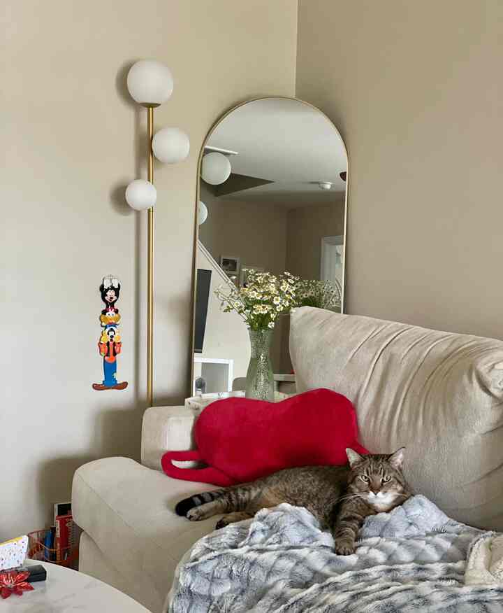 Beige-toned living room featuring a beige sofa with a cat lying on it, red heart cushion, large arched mirror, and a mid-century modern floor lamp creating a cozy atmosphere