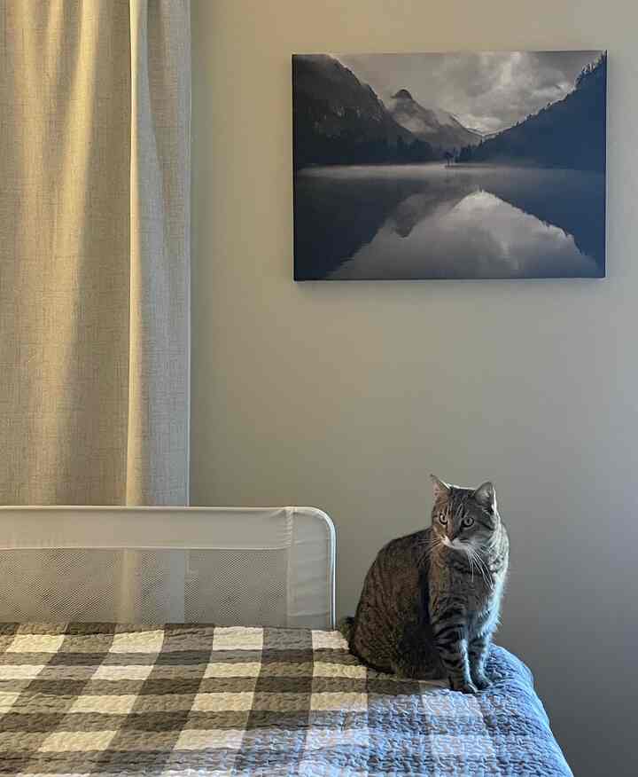 Natural tone bedroom with beige curtains, a checkered quilted bedspread, and a cat sitting on the bed creating a cozy atmosphere