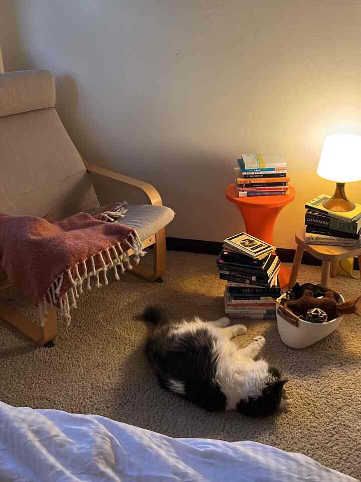 Warm natural living room with white walls, beige rug and wooden armchair framing, featuring a cat lying on the rug